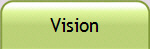 Vision